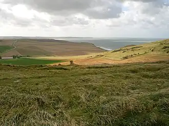 Végétation herbeuse du cap Blanc-Nez.