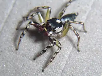 Description de cette image, également commentée ci-après