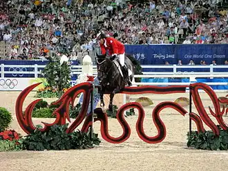 Image illustrative de l’article Hickstead (cheval)