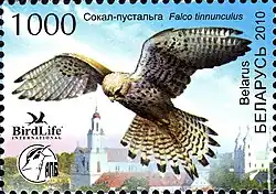 Reproduction d'un timbre représentant un Faucon crécerelle planant au-dessus d'une ville