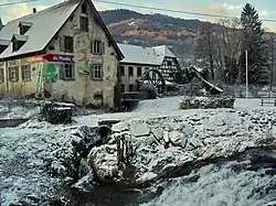 Le vivarium du moulin.