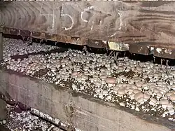 Caissons de bois où poussent des champignons de toute taille à chapeau arrondis de couleur beige