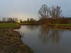 Crépuscule sur la Lizaine.