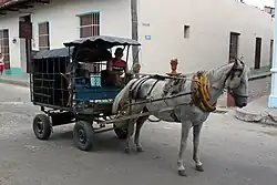 Véhicule hippomobile en métal attelé d'un cheval gris et consistant en une cage avec un cochon à l'intérieur.