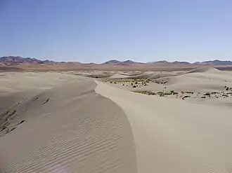Winnemucca Sand Dunes