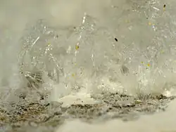 Image illustrative de l’article Nitre