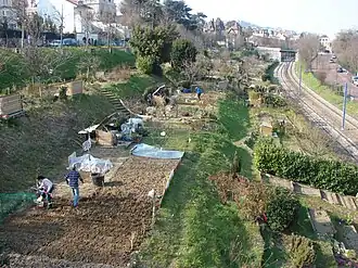 Vue des jardins familiaux depuis la passerelle côté Saint-Cloud.