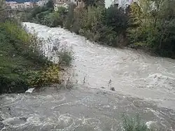 Confluence du Mondony dans le Tech à Amélie-les-Bains
