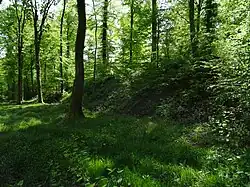 Le terril du puits no&nbsp;11.