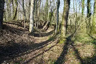 Le terril du puits no&nbsp;1.