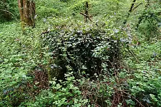 Sondage reconverti en captage d'eau potable.