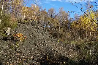 Un autre talus noir défriché.