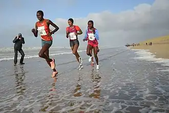 Image illustrative de l’article Purity Rionoripo