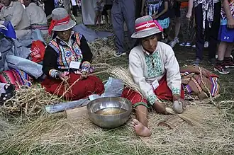 Image illustrative de l’article Queshuachaca