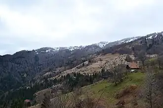 Bijelo Bučje (Teslić)