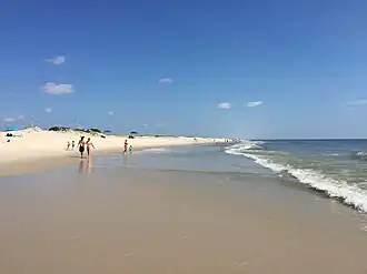 Une plage du Jersey Shore dans le :parc d'État d'Island Beah&nbsp;(en).
