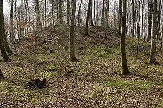 Monticule à sommet plat en forêt.