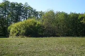 Terril du puits no&nbsp;1.