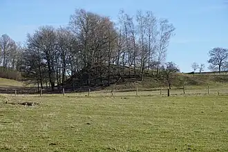 Terril de la galerie des années 1940.