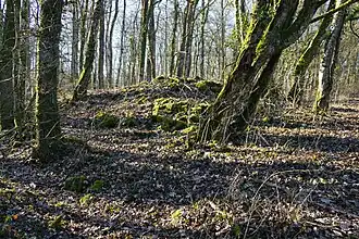 Le petit terril du puits no&nbsp;3.