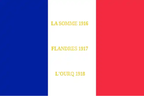 Drapeau du 201e régiment d'infanterie de l'armée française, avec ses batailles.