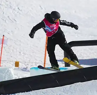 Image illustrative de l’article Luca Harrington