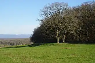 Un long et fin talus.