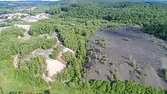 Deux vastes terrils, l'un rouge et boisé, l'autre noir avec peu de végtation.