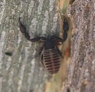 Description de cette image, également commentée ci-après