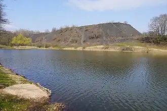 Terril du lavoir à charbon du Pré Charpin.