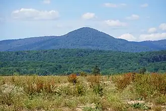 Le Fayé se distinguant de la ligne des Vosges.