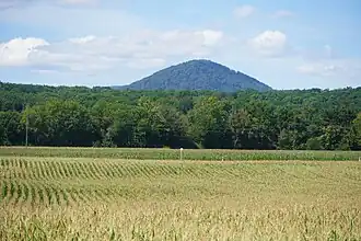 Le sommet émargeant au-dessus d'une forêt.