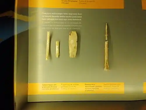 Fragments de côtes gravées et poinçon en os décoré d'incisions provenant de la grotte d'Arenaza.