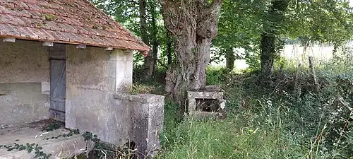 Lavoir 1, avec sa source.