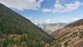 Gümüşhane (province)