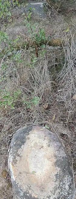 Polissoirs du cassis