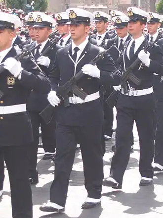 Image illustrative de l'article Beretta AR-70