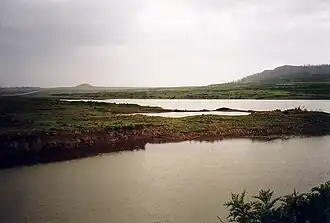 Image illustrative de l’article Godew