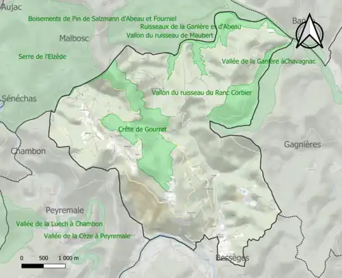 Carte des ZNIEFF de type 1 sur la commune.