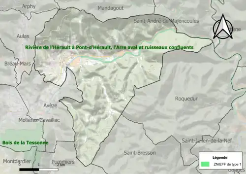 Carte de la ZNIEFF de type 1 sur la commune.