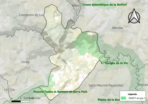 Carte des ZNIEFF de type 1 sur la commune.