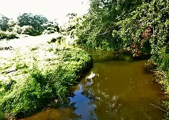 La rivière de Pont-l'Abbé vue de la passerelle située juste en aval du barrage du Moulin Neuf (limite communale entre Tréméoc et Plonéour-Lanvern).
