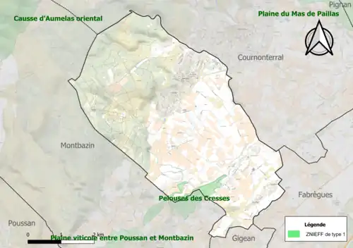 Carte de la ZNIEFF de type 1 sur la commune.