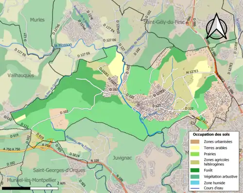 Carte en couleurs présentant l'occupation des sols.