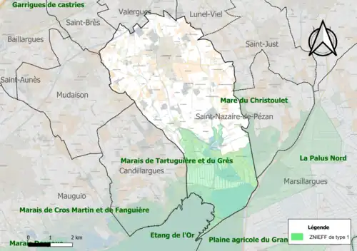 Carte des ZNIEFF de type 1 sur la commune.