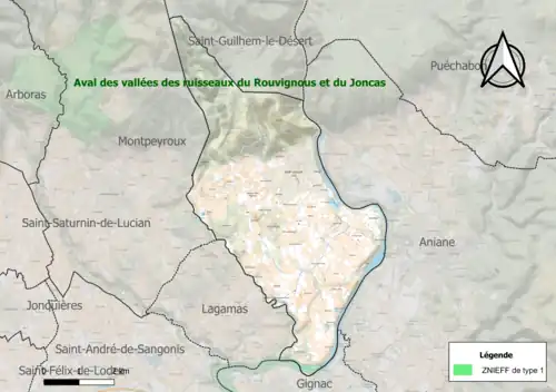 Carte de la ZNIEFF de type 1 sur la commune.