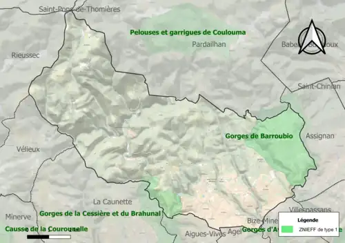 Carte des ZNIEFF de type 1 sur la commune.