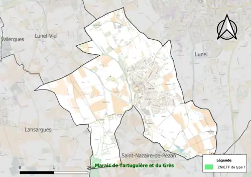 Carte de la ZNIEFF de type 1 localisée sur la commune.