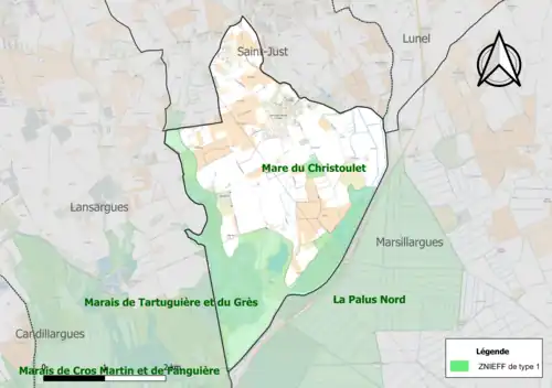 Carte des ZNIEFF de type 1 sur la commune.