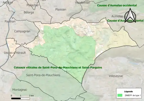 Carte de la ZNIEFF de type 1 sur la commune.